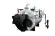 RSW SERIES Solid Fuel Fired, 3 Pass Steam Boilers