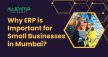 Why ERP is Important for Small Businesses in Mumbai?