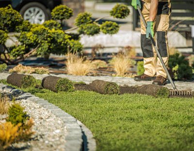 Commercial Landscaping Services Company in Carrollton, TX