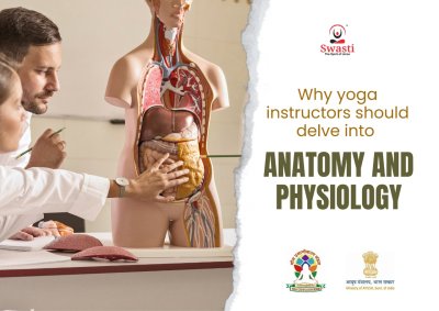 5 Reasons How Anatomy and Physiology Study Help Yoga Instructors