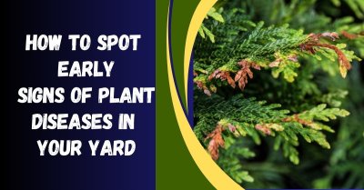 How To Spot Early Signs Of Plant Diseases In Your Yard